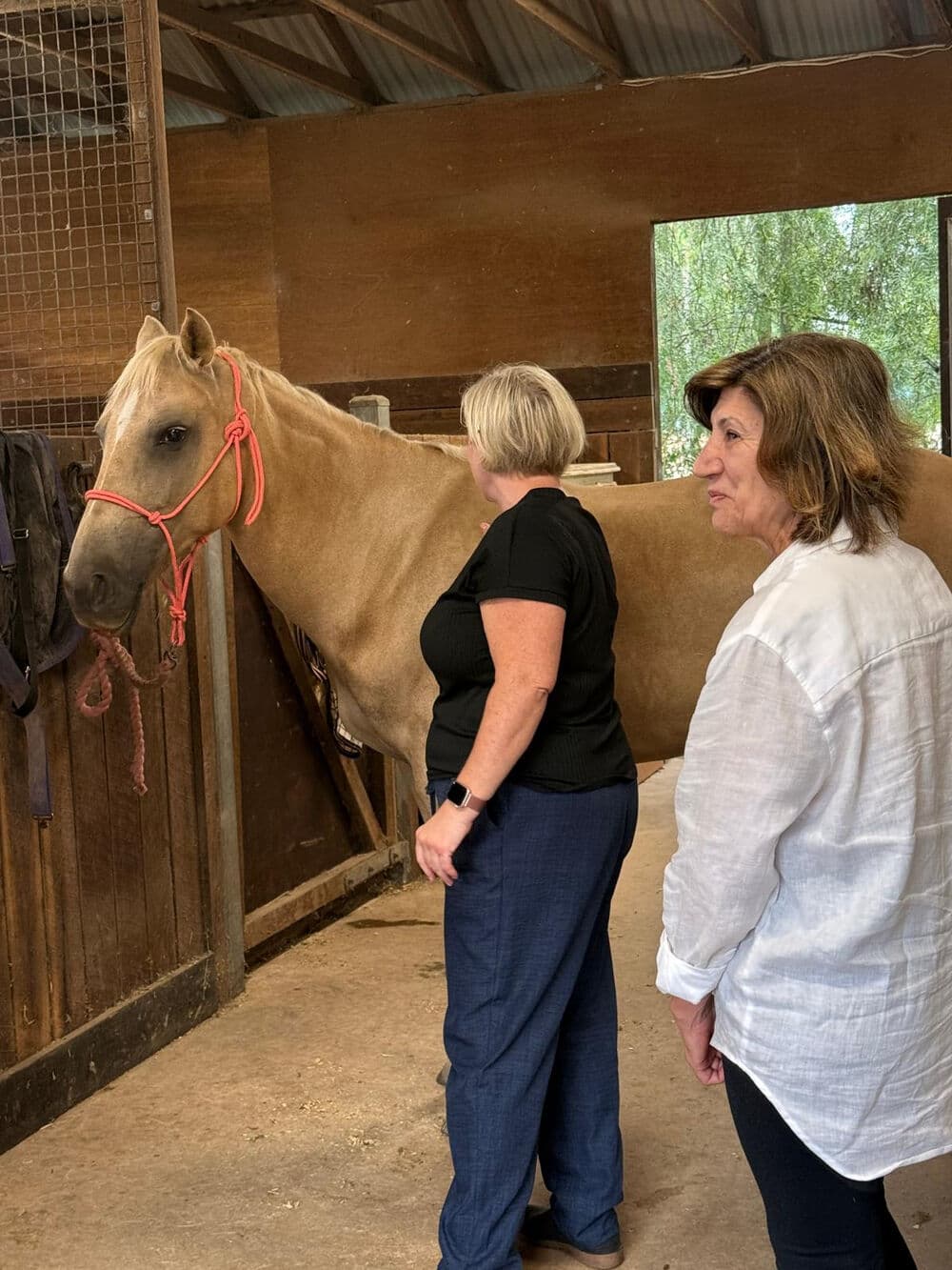 Two leaders standing with a horse in the barn